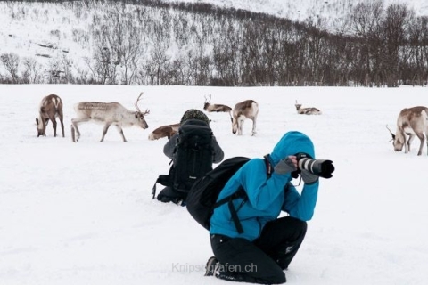 nadja_2015_nordlichtwoche_norwegen_036