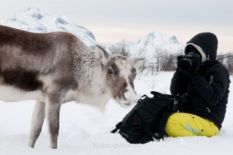 nadja_2015_nordlichtwoche_norwegen_038
