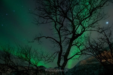 nadja_2015_nordlichtwoche_norwegen_047
