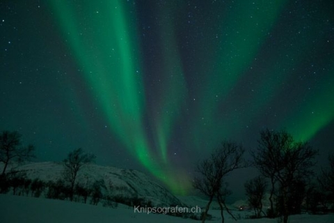 nadja_2015_nordlichtwoche_norwegen_048