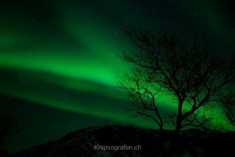 nadja_2015_nordlichtwoche_norwegen_049