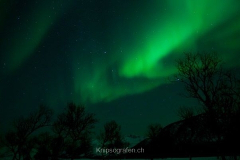nadja_2015_nordlichtwoche_norwegen_050