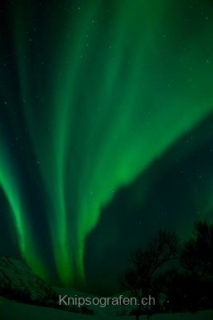 nadja_2015_nordlichtwoche_norwegen_051