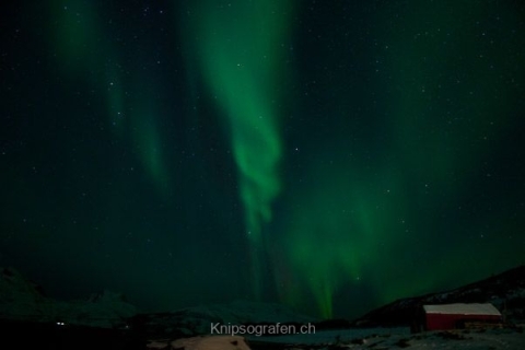 nadja_2015_nordlichtwoche_norwegen_052