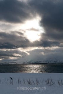 nadja_2015_nordlichtwoche_norwegen_057