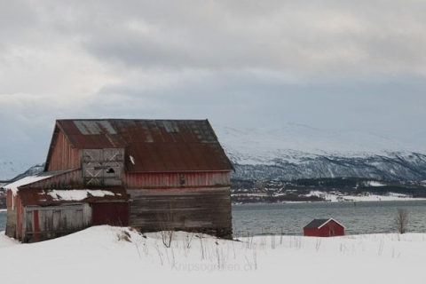 nadja_2015_nordlichtwoche_norwegen_058