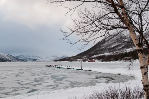 nadja_2015_nordlichtwoche_norwegen_062