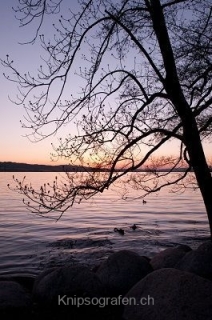 nadja_2015_sonnenuntergang_sempachersee_002