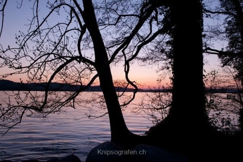 nadja_2015_sonnenuntergang_sempachersee_003
