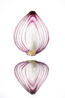 nadja_2022_fruechte_001