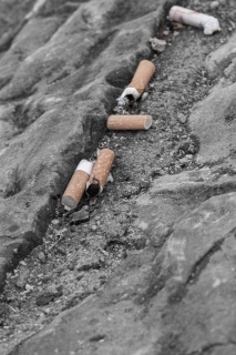 nadja_2022_littering_002