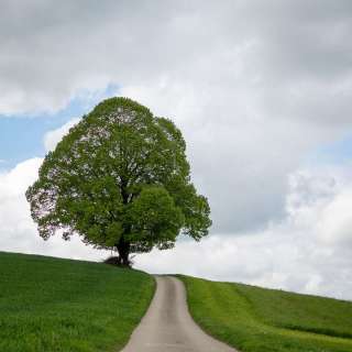 nadja_2024_weekend_emmental_001