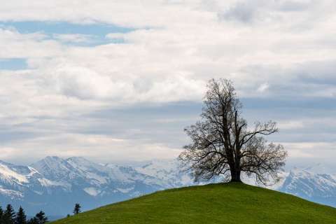 nadja_2024_weekend_emmental_007