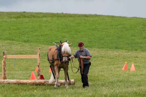 nadja_2025_holzruecken-beromuenster_001