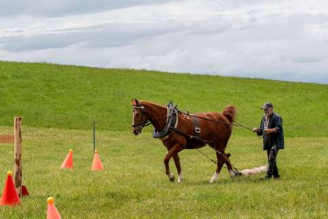 nadja_2025_holzruecken-beromuenster_002