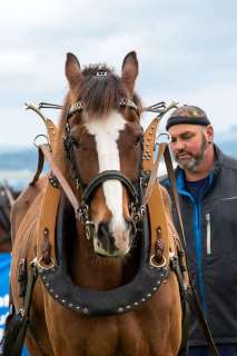 nadja_2025_holzruecken-beromuenster_003