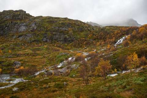 nadja_2025_lofotenreise_006