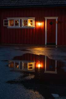 nadja_2025_lofotenreise_020