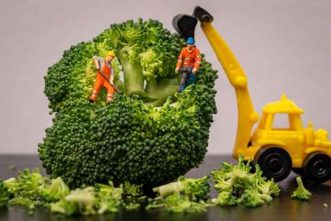 nadja_2025_minaturwelten_sureal_005