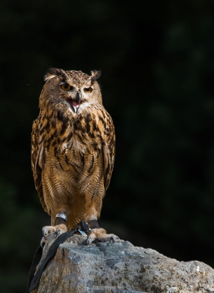 yvonne_2017_weekend_tessin_004