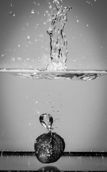 yvonne_2018_wasser-fruechte-tropfen_003