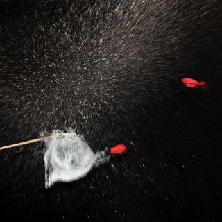 yvonne_2020_platzende_ballone_001