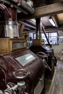 yvonne_2021_ferrenmuehle_003