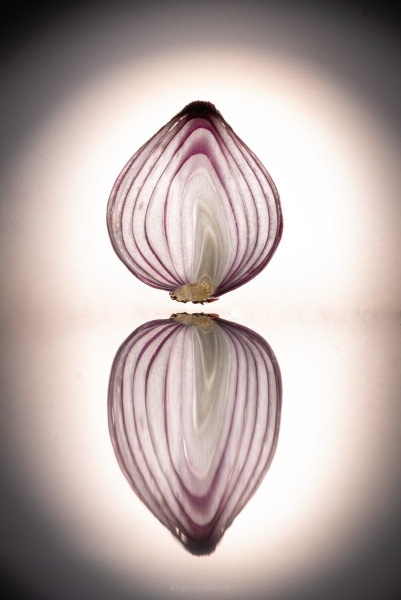 yvonne_2022_fruechte_001