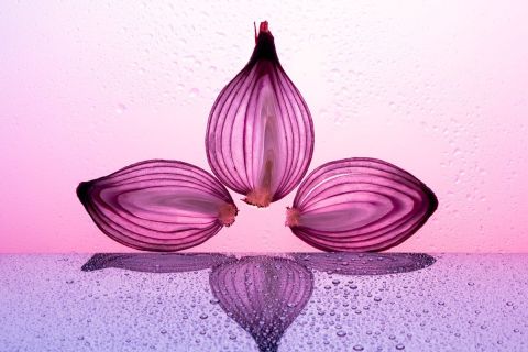 yvonne_2022_fruechte_002