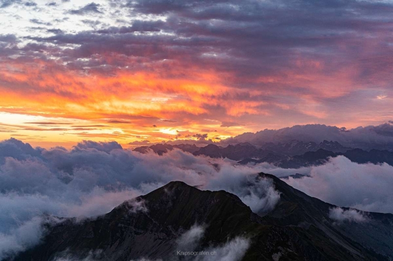 yvonne_2024_steinboecke_sonnenaufgang_002