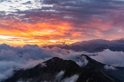yvonne_2024_steinboecke_sonnenaufgang_002
