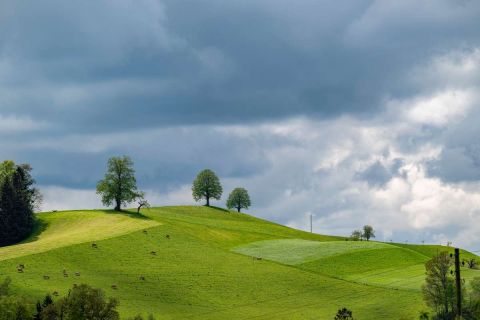 yvonne_2024_weekend_emmental_002