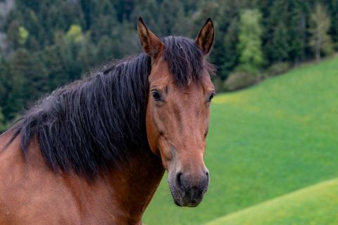 yvonne_2024_weekend_emmental_003
