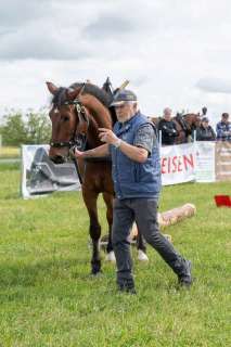 yvonne_2025_holzruecken-beromuenster_001