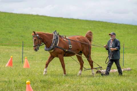 yvonne_2025_holzruecken-beromuenster_003