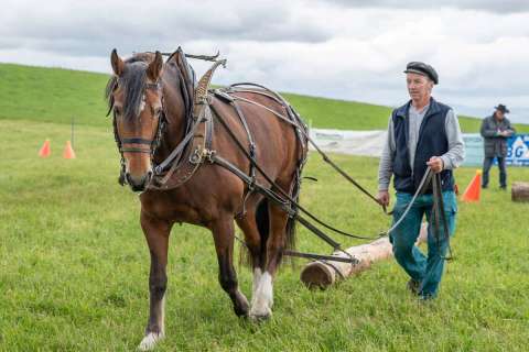 yvonne_2025_holzruecken-beromuenster_005