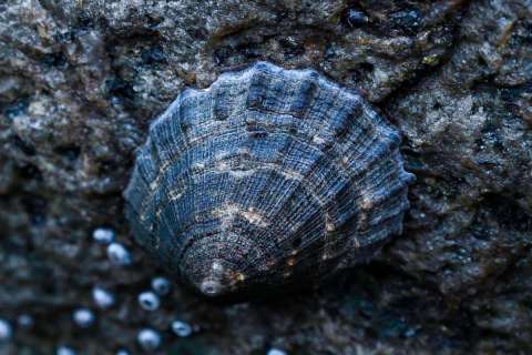 yvonne_2025_lofotenreise_005