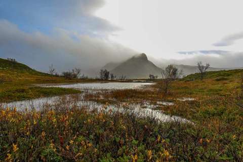 yvonne_2025_lofotenreise_006