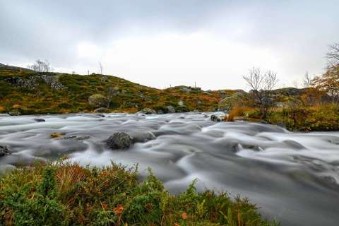 yvonne_2025_lofotenreise_011