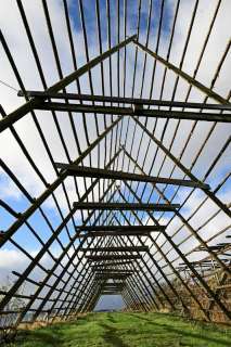 yvonne_2025_lofotenreise_018