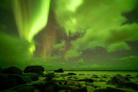 yvonne_2025_lofotenreise_023