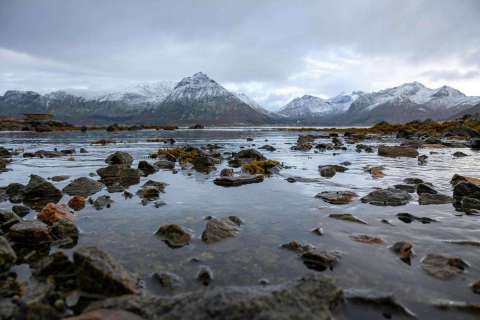 yvonne_2025_lofotenreise_025