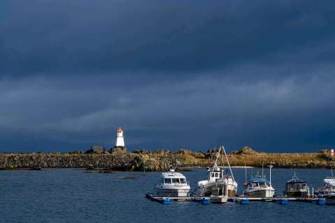 yvonne_2025_lofotenreise_027